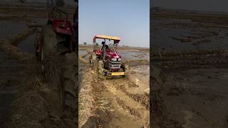 Mahindra 585 New Special Edition #mahindratractor #tractor #farming #mud #stunt