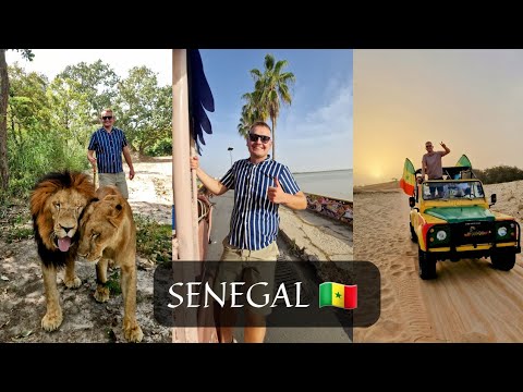 Senegal Spacer z Lwami, Śladami rajdu Dakar, Safari