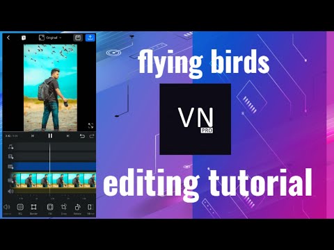 Semple tricks video editing 👍 Flying birds video editing ||  video editing VN app