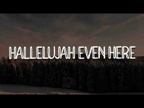 Hallelujah Even Here, Peace Be Still, Hills and Valleys (Lyric) - Lydia, Hope Darst, Tauren Wells