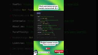 The INSANE Way to Search Usernames Across 400+ Platforms