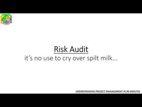 40   Risk Audit   Understanding Project Management in 90 Minutes