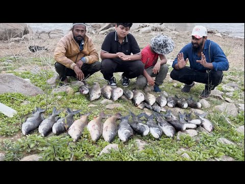 Amazing Big Size Catla Fishing
