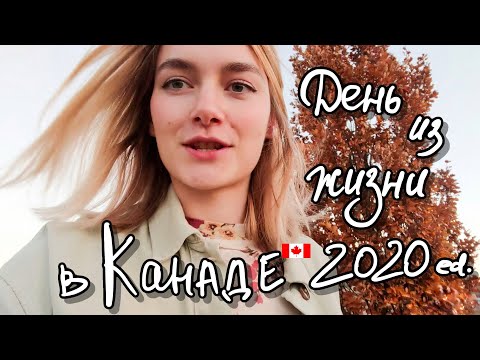 День из жизни в Канаде: версия 2020. Рассказываю про наши АПАРТАМЕНТЫ над гаражом.