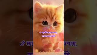 O Cutie O Cutie 😻 | Soft Slow version | Bengali Animated Love Song | JhakaNaka Music Official