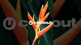 Chill Summer Tropical House Ambience, Vol.2 #workchillout #musicplaylist #calmmusic #chillworkmusic
