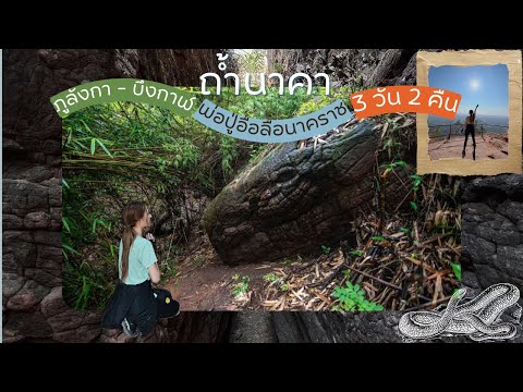 🐍ถ้ำนาคา ภูลังกา จ.บึงกาฬ 3 วัน 2 คืน ประวัติและแพลนเที่ยวจัดเต็ม