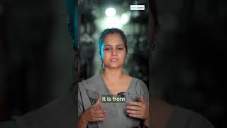 Learn How to Grow Button Mushroom at Home | Mushroom Farming | Indoor Mushroom Farming | Farming