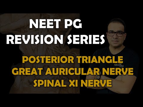 NEET PG- POSTERIOR TRIANGLE GAN & SPINAL XI NV