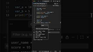Better Debugg Python Like THIS
