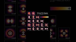 The superposition. #quantumphysics #cosmoknowledge