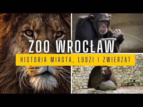 How the Wrocław Zoo was created