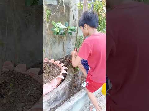 DOING HOUSEHOLD CHORE