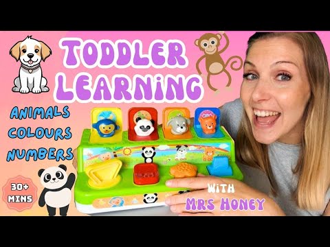 Toddler Learning – Animals, Colours & Counting | Best Learning Video For Toddlers | For Babies& Kids