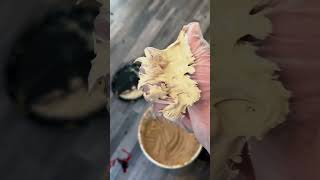 Welcome to Elmo’s world #elmo #funcontent #tufting #reels