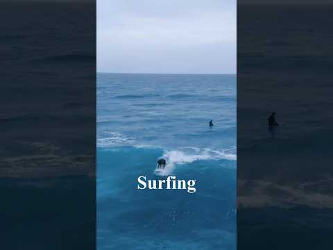Surfable Waves