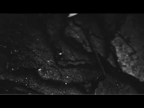 Bjorth Live Stream