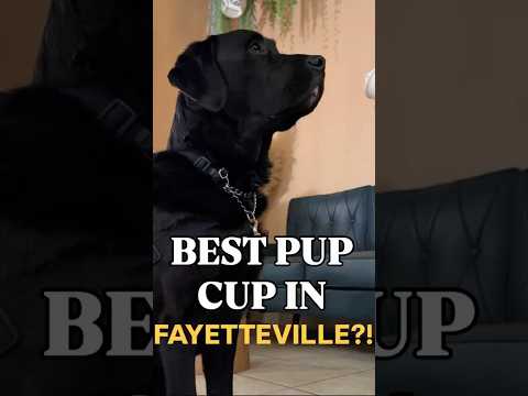 😳 He tried to steal my truck over a pup cup. 🐾