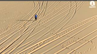 How Data Visualization Can Help the Environment