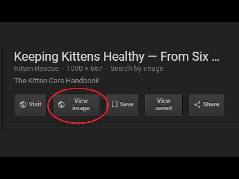 Add the "View Image" Button Back on Google Images