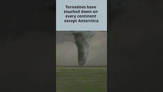 Tornado Facts