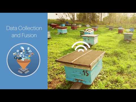 Motsai - IoT Solution Data collection, Data fusion, Data routing, Data analysis
