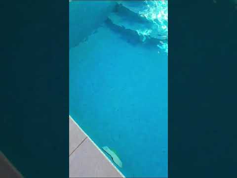 otra vez después el empresa FLUIDRA enviado Rep.8