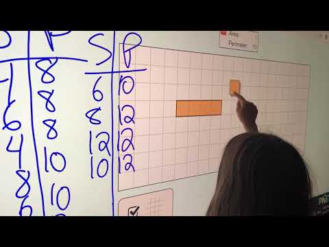 Perimeter and Surface Area Exploration