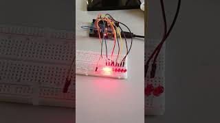 8 Blinking LEDs with Arduino #Arduino #LEDBlinking #BeginnerProject #ArduinoFun #MakerLife