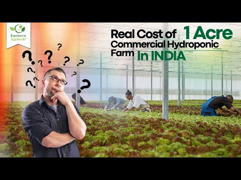 Which Hydroponic System is Right for You and Actual Cost to Setup 1 Acre Commercial Hydroponic Farm