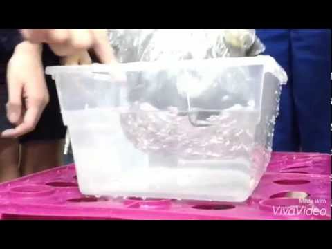 Sunshine STEM Academy students design and test their ship