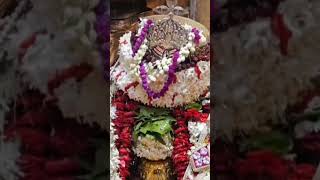 #kedarnath #shivtandavaarti #shankar #bhaktisong #song #mantra #bhajan #shivamantrachanting 🔱♥️🙏