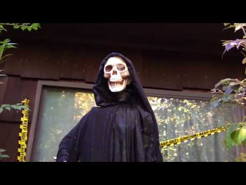 My Halloween Decorations