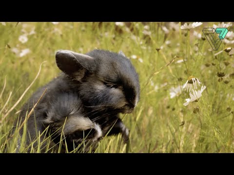 Visual Magic student showreel - spring 2023