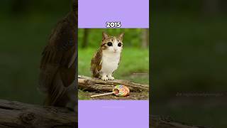 Where Are The Famous Cat Memes Now?💔🕊️ (ThenVsNow) #shorts