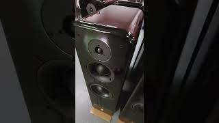 Hi End Audio #Audiophile #FloorStandingSpeakers #SpeakerDesign #SoundEngineering #LuxuryAudio