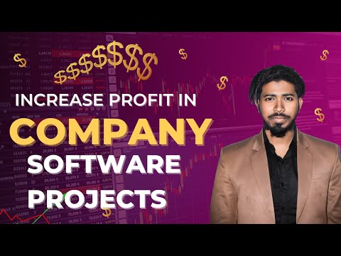 Completed Company Software Project: My Experience & How Much Can You Really Make in 2024? #youtube