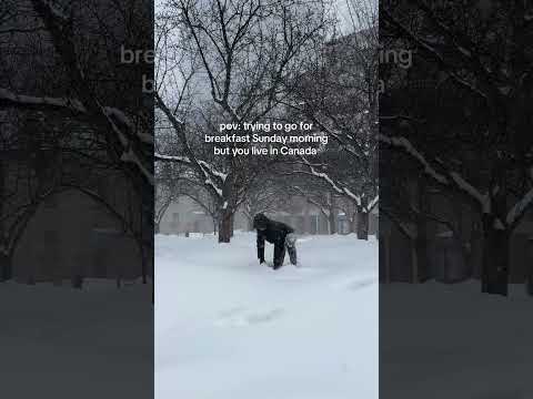 Trying to get breakfast during a snow storm #canadalife #canada #snowstorm