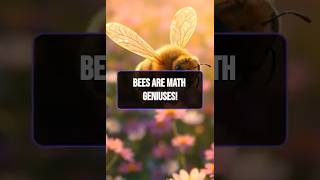Bees solve math faster than computers!