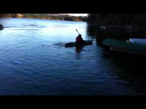 Blaine kayaks