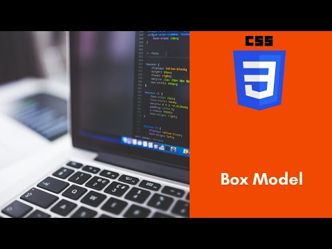8 CSS Box Model