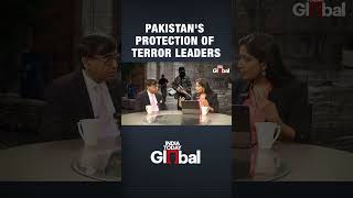 'These Proxy And Hybrid Strategic Assets... Become Even More Critical': Pandya On Terror Leaders