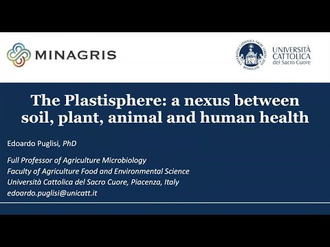 MinagrisPlastispherePres05 12 25