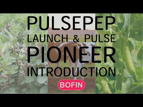 PulsePEP Launch & Pulse Pioneer Introduction