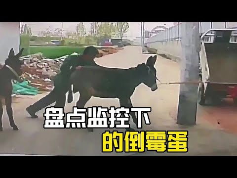 盤點監控下的倒霉蛋#倒霉蛋 #監控下的一幕 #爆笑 #搞笑 #搞笑视频 #搞笑挑战 #搞笑合集 #搞笑視頻