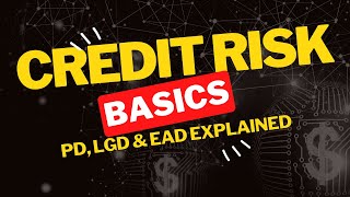 Credit Risk Simplified – Learn Like a Pro!