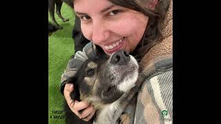 FURBABY PET CARE JANUARY 2025