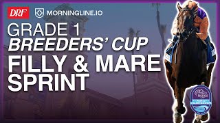 Grade 1 Breeders' Cup Filly & Mare Sprint | November 1, 2025
