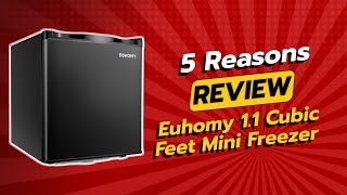 Euhomy 1.1 Cubic Feet Mini Freezer | 5 Reasons NOT to Buy! 🚫❄️