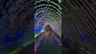 Mobile screen vj loops || Vj loops Shot Video || #shorts || vj loop || vj loops 2022